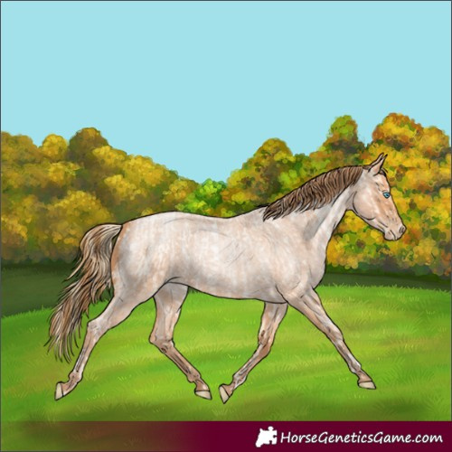 Horse Color:Buckskin Roan Pearl  and Bay Roan Pearl 