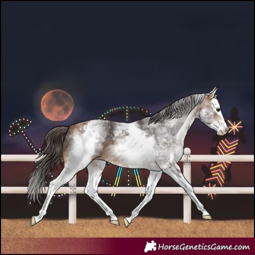 Horse Color:White Spotted Buckskin Splash