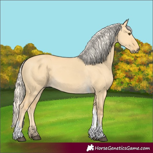 Horse Color:Palomino Dun Tobiano