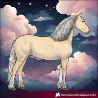 Horse Color:Palomino Dun Tobiano 