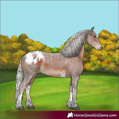 Horse Color:Powder White Silver Brown Tobiano Skewed LP Spotted 