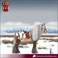 Horse Color:Powder White Silver Brown Skewed LP Spotted Rabicano 
