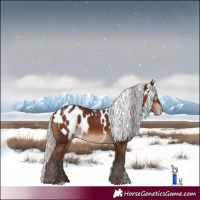 Horse Color:Powder White Silver Brown Skewed LP Spotted Rabicano