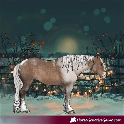 Horse Color:Powder White Silver Brown Dun Skewed LP Spotted Rabicano