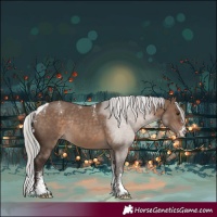 Horse Color:Powder White Silver Brown Dun Skewed LP Spotted Rabicano