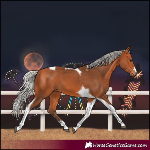 Horse Color:Silver Bay Tobiano 
