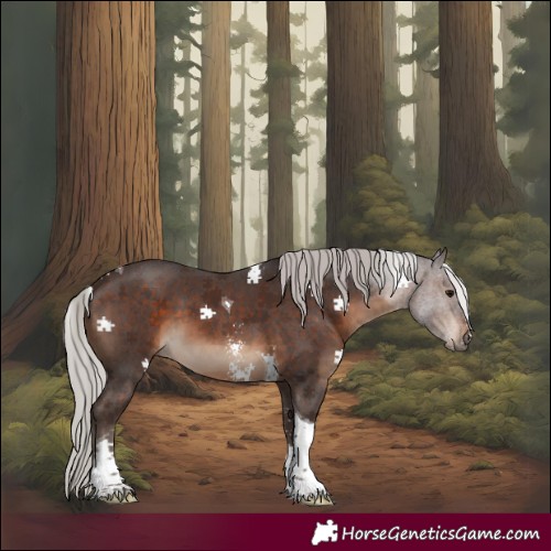 Horse Color:Silver Brown Sabino Tobiano 