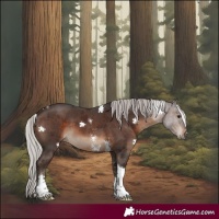 Horse Color:Silver Brown Sabino Tobiano