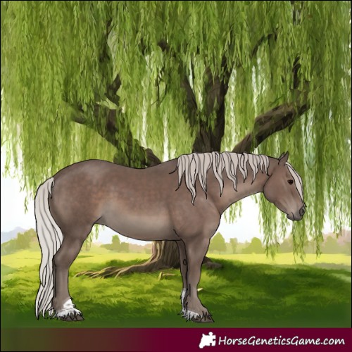 Horse Color:Silver Black Tobiano