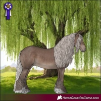 Horse Color:Silver Black Tobiano
