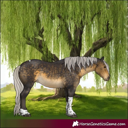 Horse Color:Silver Buckskin Tobiano 