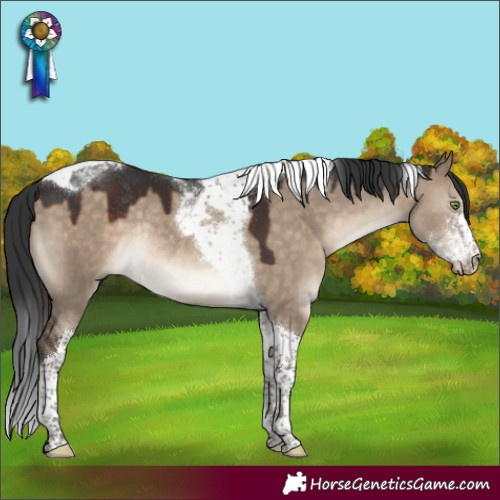 Horse Color:Brown Dun Sabino Tobiano Rabicano
