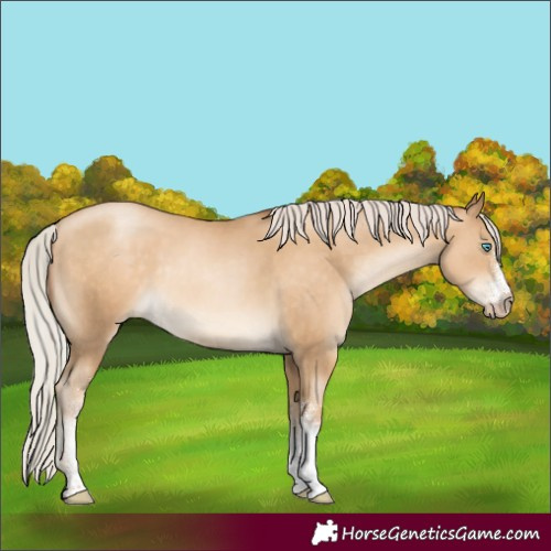 Horse Color:Gray White Spotted Silver Classic Cream Champagne Pearl 