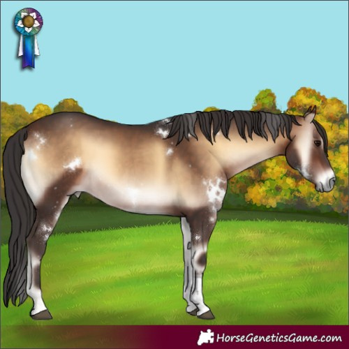Horse Color:White Spotted Brown Onyx Tobiano 