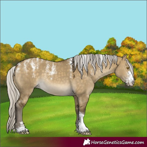 Horse Color:Powder White Silver Buckskin Dun Sabino