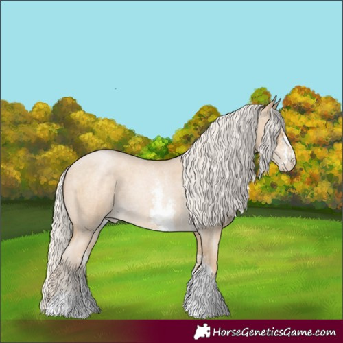 Horse Color:Silver Buckskin Roan Pearl Sabino