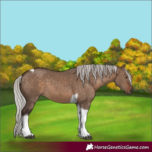 Horse Color:Silver Brown Dun Tobiano 