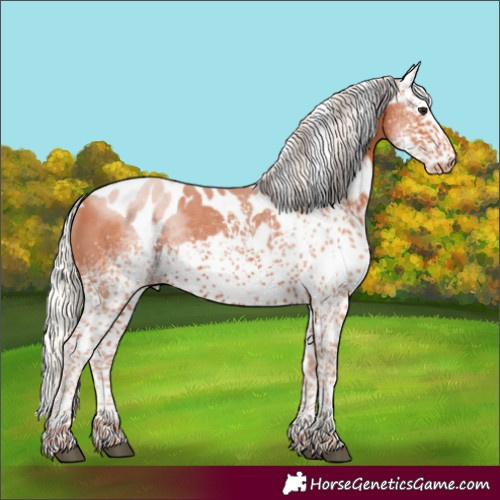 Horse Color:White Spotted Silver Bay Tobiano Skewed Appaloosa 