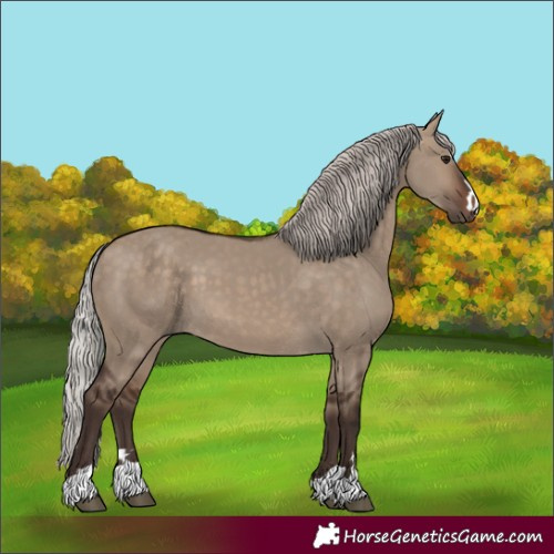 Horse Color:Silver Brown Dun 