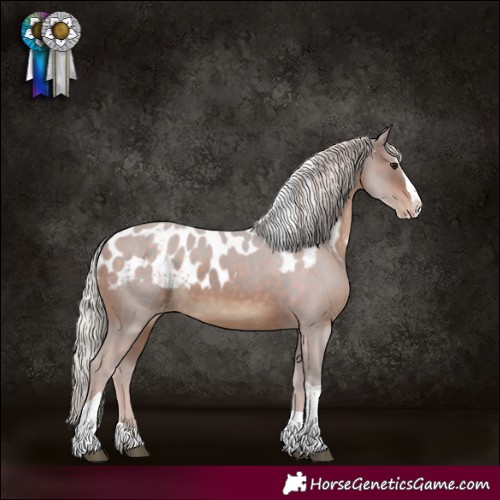 Horse Color:Silver Brown Splash Tobiano Skewed LP Spotted Rabicano 