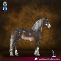 Horse Color:White Spotted Silver Brown Splash Tobiano 