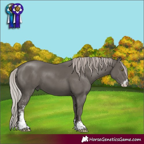 Horse Color:Silver Black Mushroom Sabino 