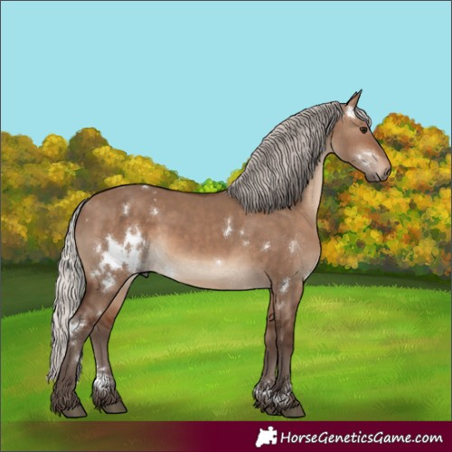 Horse Color:White Spotted Silver Brown Dun