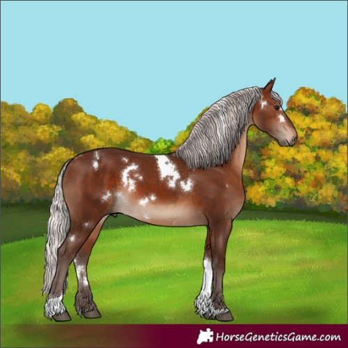 Horse Color:White Spotted Silver Brown Tobiano