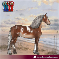 Horse Color:White Spotted Silver Brown Tobiano