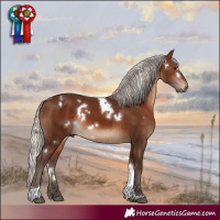 Horse Color:White Spotted Silver Brown Tobiano