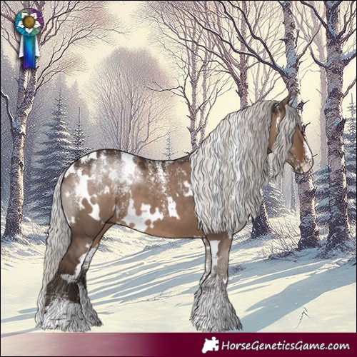 Horse Color:Powder White White Spotted Silver Grullo 