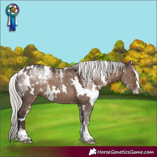 Horse Color:Powder White White Spotted Silver Grullo