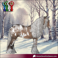 Horse Color:Powder White White Spotted Silver Grullo