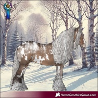 Horse Color:Powder White White Spotted Silver Grullo