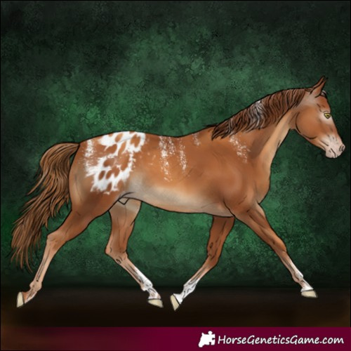 Horse Color:Powder White Gray Gold Champagne Blanket