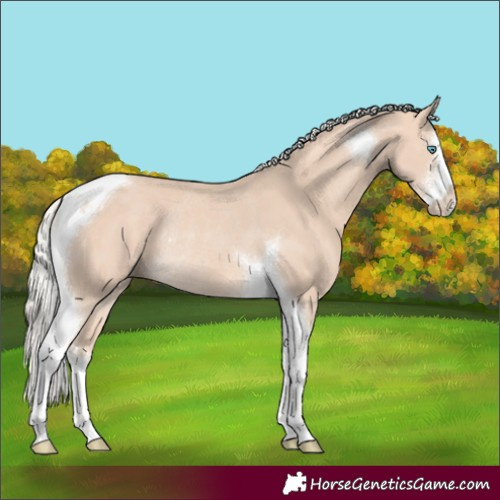 Horse Color:Silver Perlino Sabino Tobiano Rabicano 