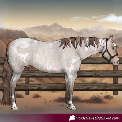 Horse Color:White Spotted Amber Champagne Roan Mushroom Snowcap