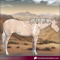 Horse Color:White Spotted Gold Champagne Mushroom Snowflake VarnishRabicano
