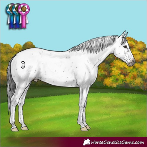 Horse Color:Smoky Black Sabino Frame 