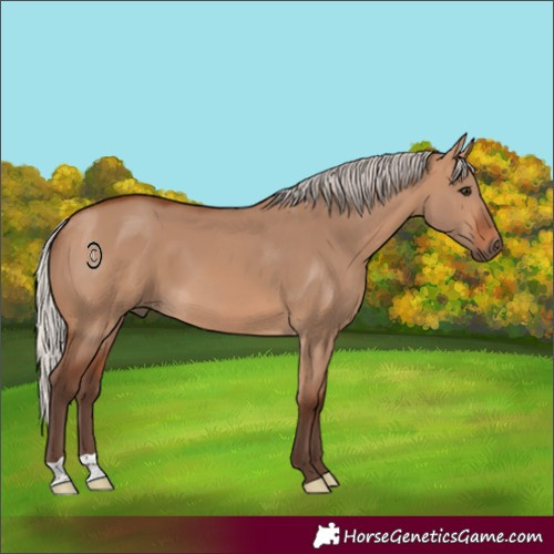 Horse Color:Silver Brown Dun