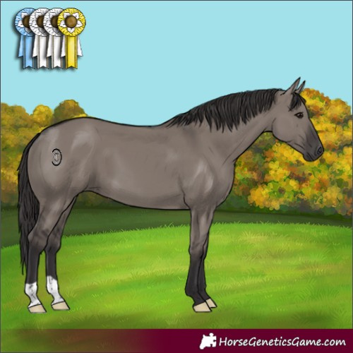 Horse Color:Smoky Grullo 