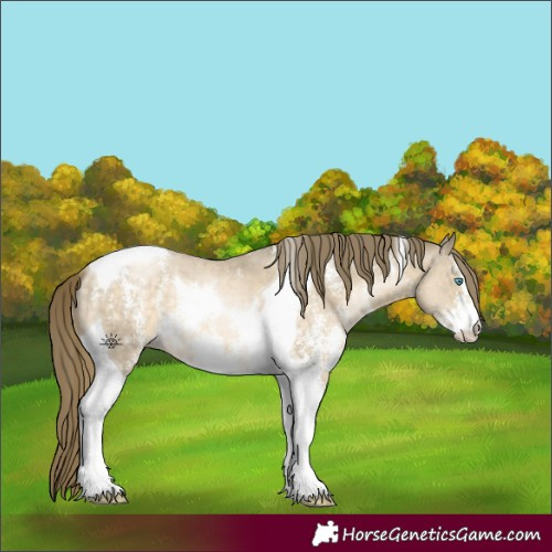 Horse Color:Brown Snowdrop Pearl Sabino Tobiano 
