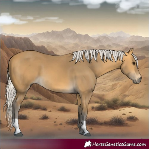 Horse Color:Silver Buckskin 