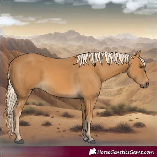 Horse Color:Palomino 