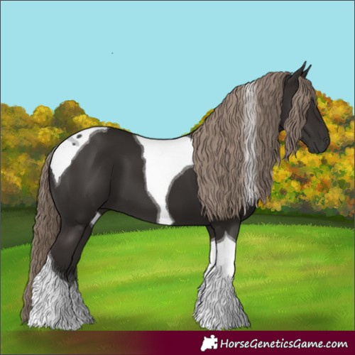 Horse Color:Liver Chestnut Tobiano 