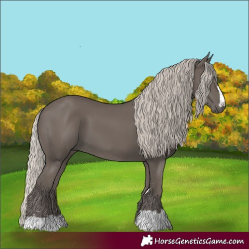 Horse Color:Silver Black