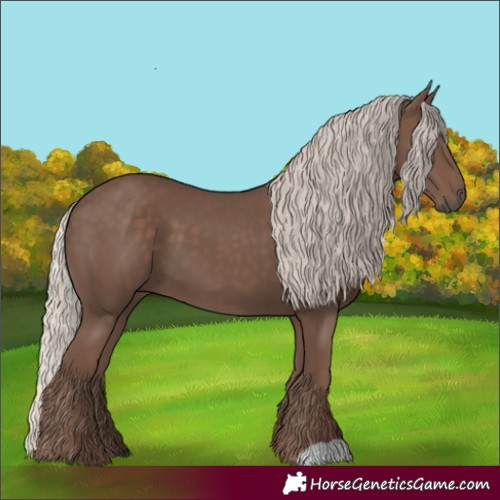 Horse Color:Silver Black 
