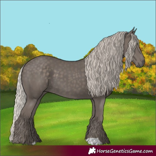 Horse Color:Silver Black 