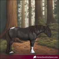 Horse Color:Liver Chestnut Tobiano