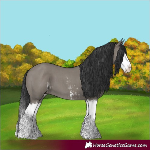 Horse Color:Grullo Sabino Splash and Grullo Sabino Splash